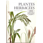 Plantes herbacées, atlas illustré