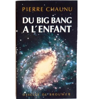 Du big bang à l'enfant